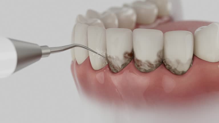 Reliable Dental contractor in Ennis, TX by Dentist Open Now